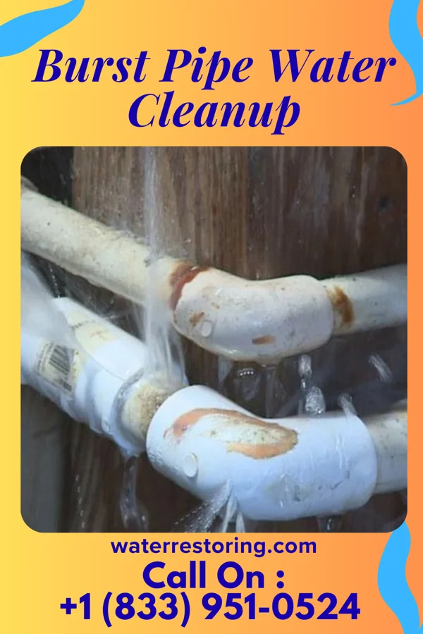 Burst Pipe Water Cleanup in Crellin, MD