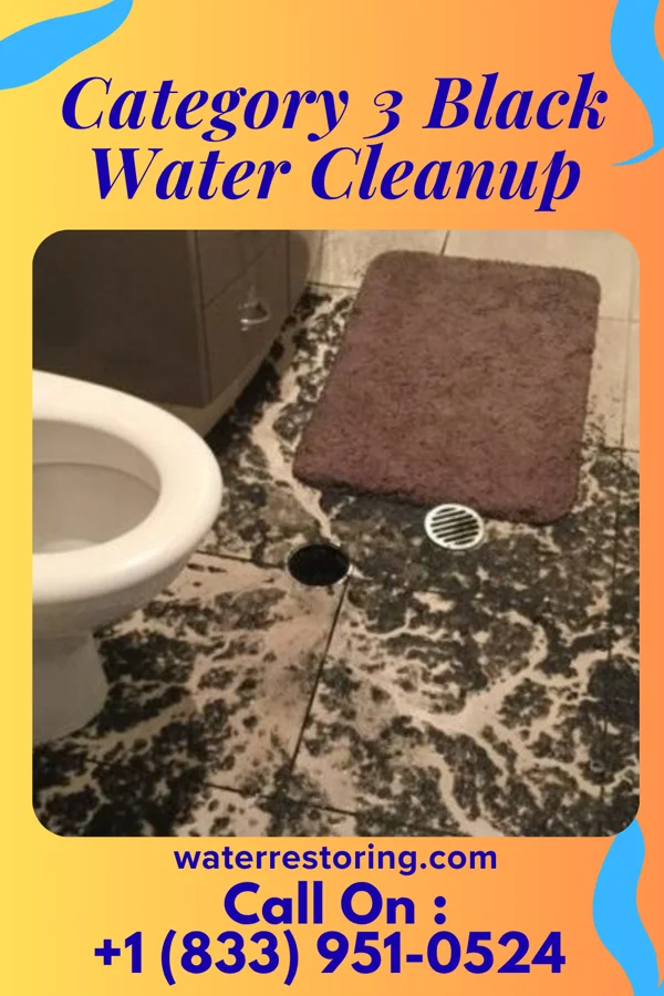 Category 3 Black Water Cleanup in Crellin, MD