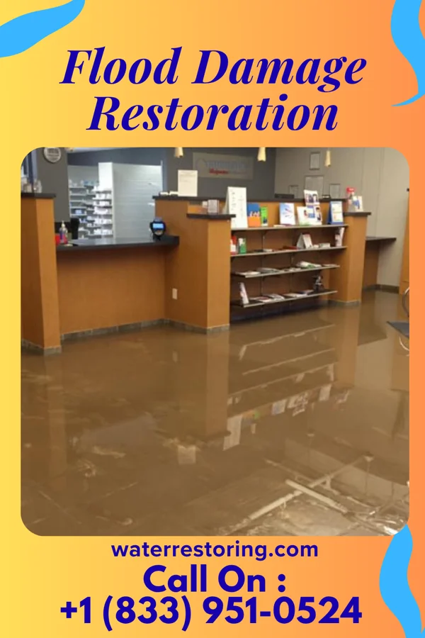 Flood Damage Restoration in Crellin, MD