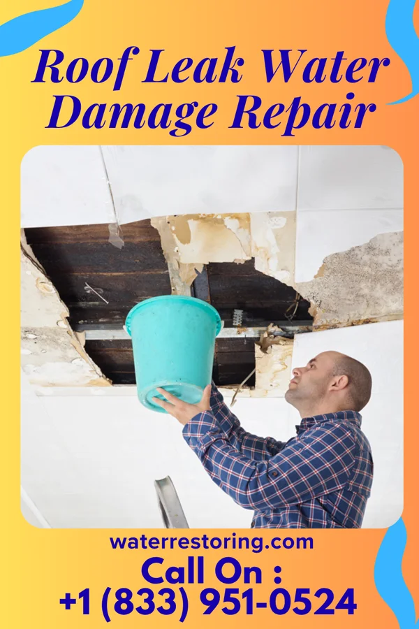 Roof Leak Water Damage Repair in Crellin, MD