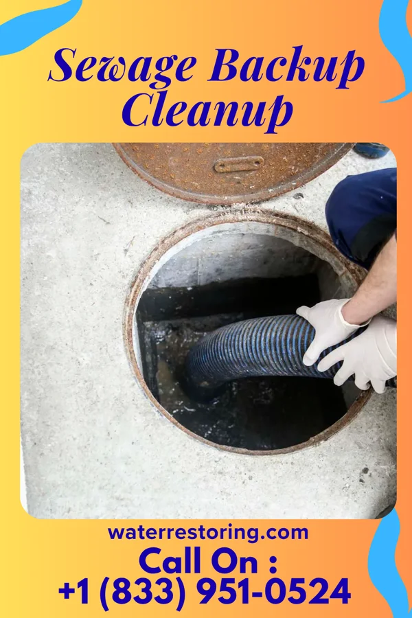 Sewage Backup Cleanup in Crellin, MD